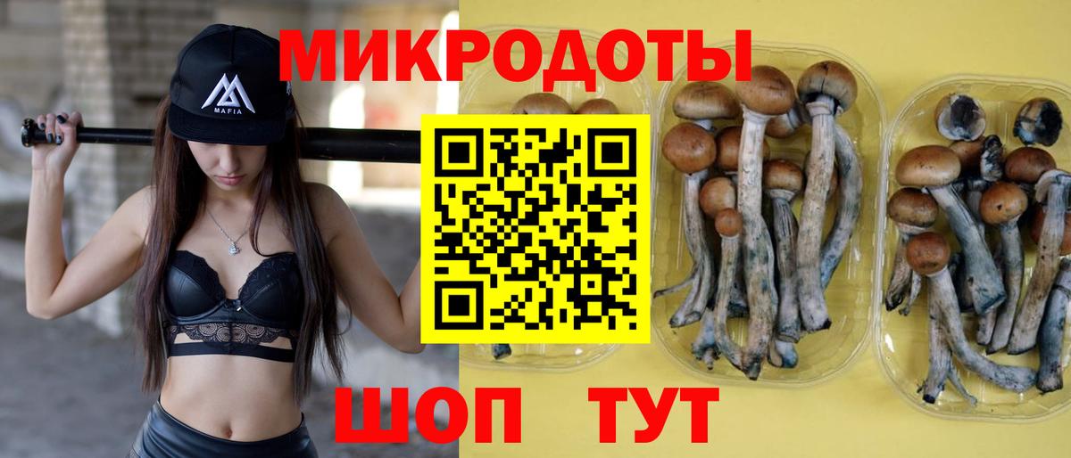 Галлюциногенные грибы прущие грибы Ростов-на-Дону